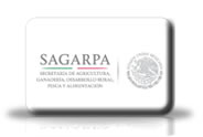 Programas Sociales Sagarpa